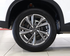 2026 Omoda C5 1.5T 230T Street +