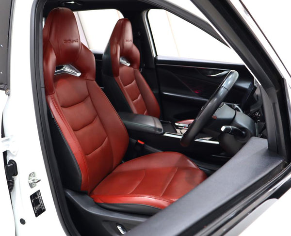 2023 BAIC Beijing X55 1.5T Premium