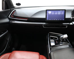 2023 BAIC Beijing X55 1.5T Premium