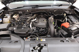 2024 Ford Ranger 2.0 Biturbo Double Cab Wildtrak