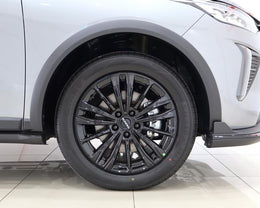 2026 Haval Jolion Pro 1.5T Super Luxury