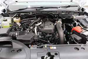 2026 Ford Ranger 2.0 Biturbo Double Cab Wildtrak