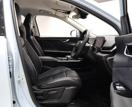 2025 BAIC Beijing X55 1.5T Dynamic