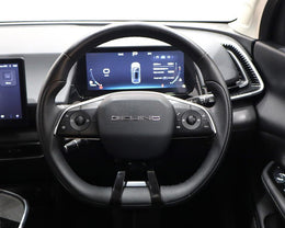 2025 BAIC Beijing X55 1.5T Dynamic